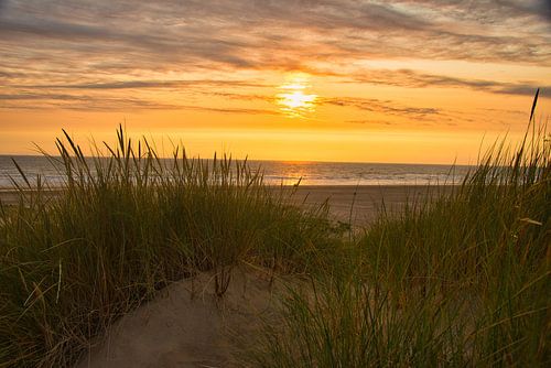 Zonsondergang in de duinen van Schoorl
