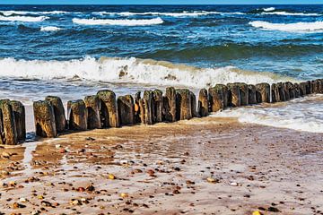 Groynes at the beach of the Baltic Sea van Gunter Kirsch