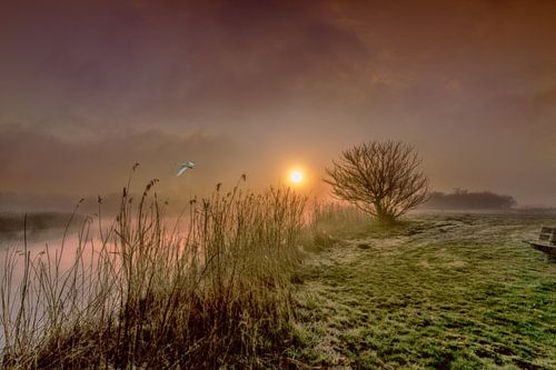 Landscape art 1 sprookjesachtig. van Marcel Kieffer