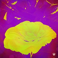 FLOWER 19 - Modern Wall Art