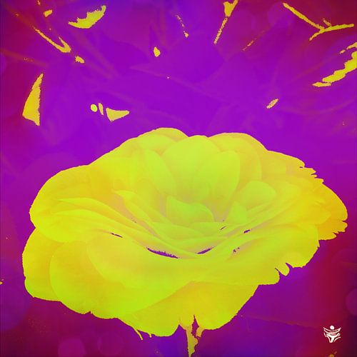 FLOWER 19 - Modern Wall Art