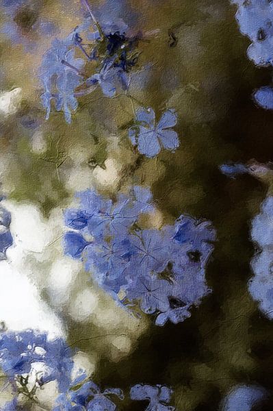 Blaue Blumen in Ölfarbe von Quay Art