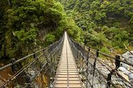 Brücke im Taroko-Schlucht-Nationalpark von Jolene van den Berg Miniaturansicht