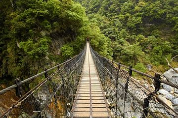 Brug in Taroko Gorge Nationaal Park van Jolene van den Berg