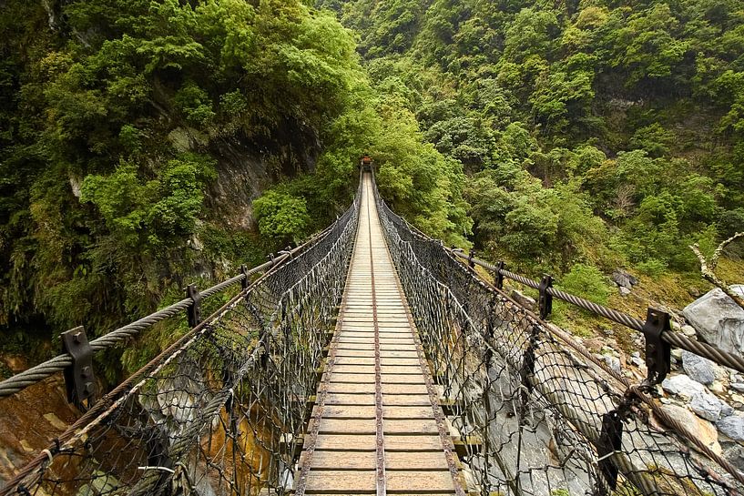 Brücke im Taroko-Schlucht-Nationalpark von Jolene van den Berg