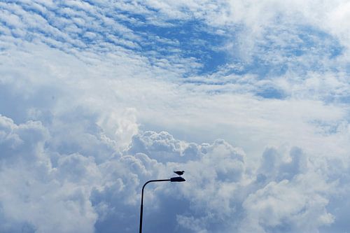 sur une hauteur solitaire