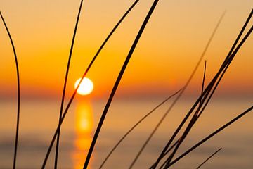 Sonnenuntergang und Gras, Strandhafer und Sonnenuntergang von Arjan van Duijvenboden