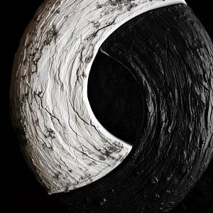 Holz mit Details in Schwarz und Weiß