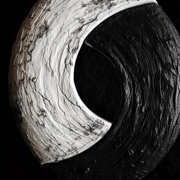 Holz mit Details in Schwarz und Weiß von TheXclusive Art