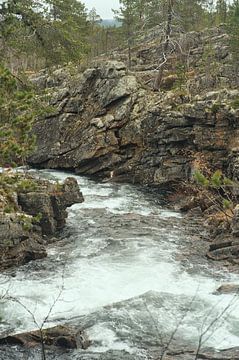 Reise von Urho Kekkonen