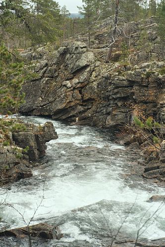 Reis door Urho Kekkonen van JNphotography