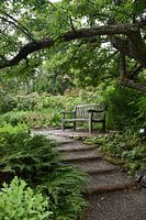 A garden path in summer