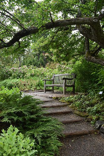 Un sentier du jardin en été