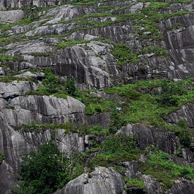 rotsformatie in de zuidkust van Noorwegen van Manon Verijdt