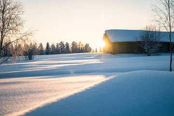 Sonnenaufgang im Winterwunderland von Leo Schindzielorz