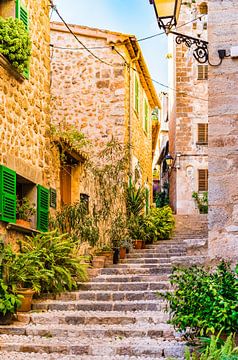 Romantisch oud dorp van Fornalutx op Mallorca, Spanje van Alex Winter