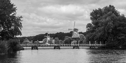 Molens De Lelie en De Ster aan de Kralingse Plas in Rotterdam