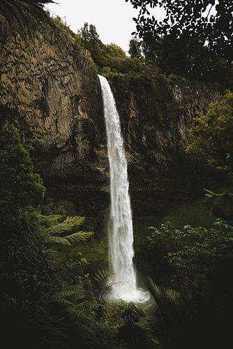 Raglan: Surfparadijs en Creatieve Vibe