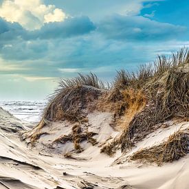 Coast in view with dunes and sea by eric van der eijk