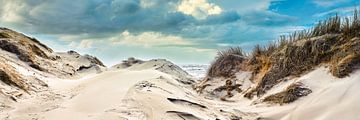 Vue de la côte avec les dunes et la mer