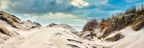 Blick auf die Küste mit Dünen und Meer