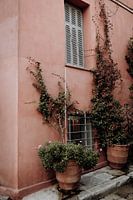The pink house with ivy in Athens