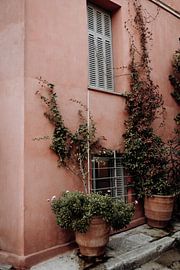 The pink house with ivy in Athens by Linn Fotografie