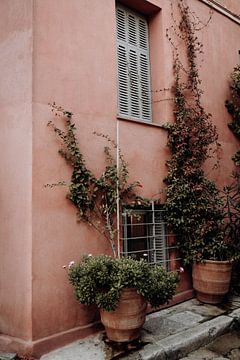 Het roze huis met klimop in Athene van Linn Fotografie