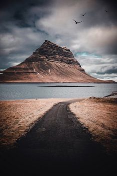 The magical mountain