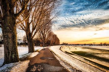 Winterlandschaft mit Baum und Schnee und Wolkenformation am Rhein bei Düsseldorf