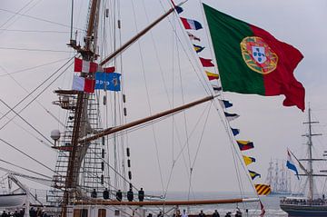 De Vlag by Brian Morgan