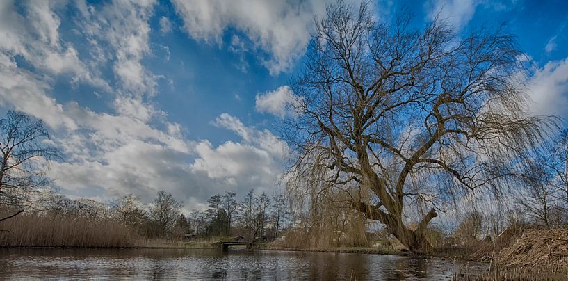 Meertje in park Amsterdam van Peter Bartelings