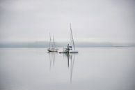 Sailing boats in lake by Bram de Muijnck thumbnail