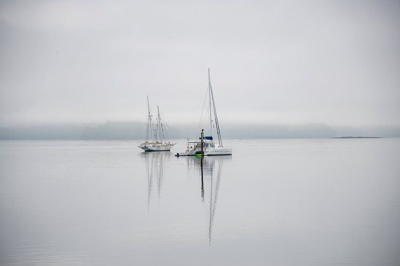 Sailing boats in lake by Bram de Muijnck