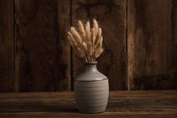 Vase with feathers in sepia