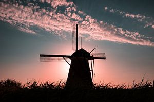 Kinderdijk 4
