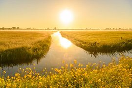 Lever de soleil sur des prairies près de Kampen au printemps sur Sjoerd van der Wal Photographie