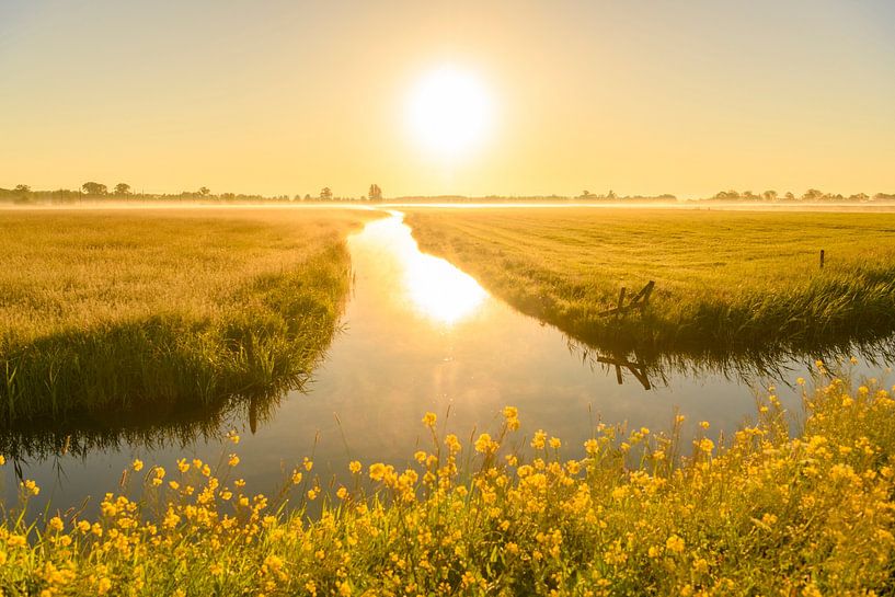 Sonnenaufgang über Wiesen bei Kampen im Frühling von Sjoerd van der Wal Fotografie