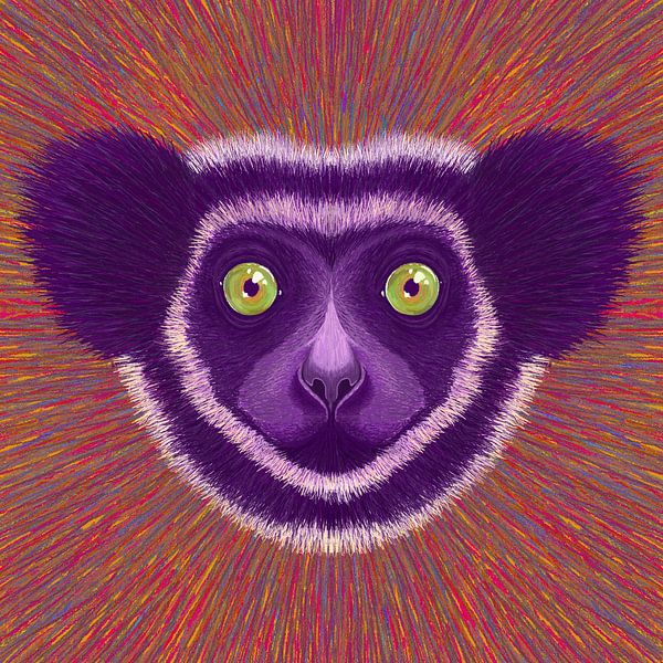 Tier Gesicht Lemur von Rohan Dahotre