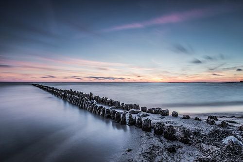 Vue sereine sur l'IJsselmeer 1