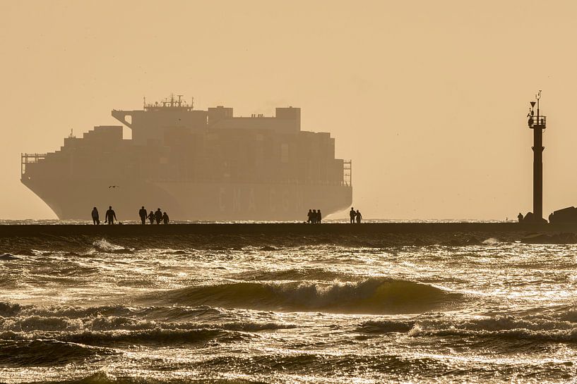 Containerschip te Nieuwe Waterweg van Peter Voogd