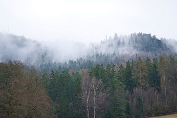 Wald im Nebel im Elbsandsteingebirge von Martin Köbsch