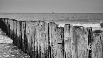 Kust Cadzand close-up