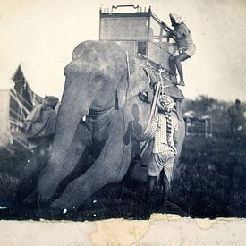 Antique photo black and white with elephant by Liesbeth Govers voor Santmedia.nl
