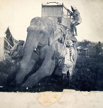 Photo ancienne noir et blanc avec éléphant