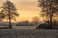 Sonnenaufgang über den Wiesen im Morgentau