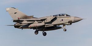 Frisian Flag 2017 (ZA459)