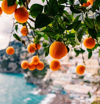 Sinaasappels aan de Amalfikust van Bethany Young Photography