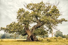 The Mighty One van Lars van de Goor
