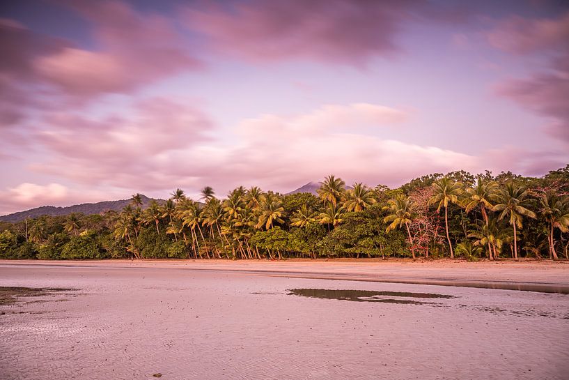 Palmenstrand bij Cape Tribulatio. by Anneke Hooijer